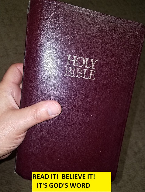 BIBLE---HOLDING-YELLOW-LABEL.jpg - 150.74 kB